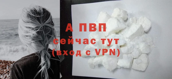 PSILOCYBIN Липки