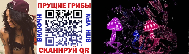 Купить закладки  Губкинский  Псилоцибиновые грибы ЛСД 